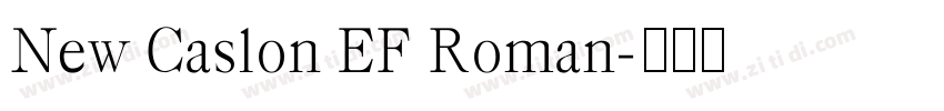 New Caslon EF Roman字体转换